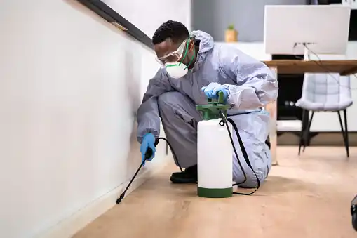 pest control East Ybor